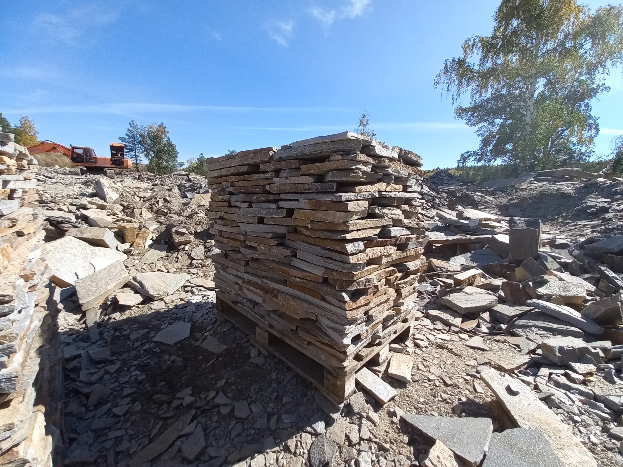 Плитняк златолит серебристый для мощения на бетон купить в Оби