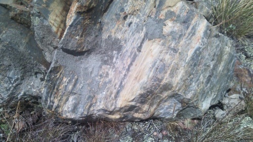 Гигантские зелёные валуны для ландшафтного дизайна весом более 5 тонн купить в Оби